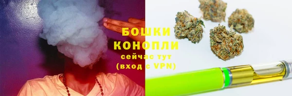 прущая мука Корсаков